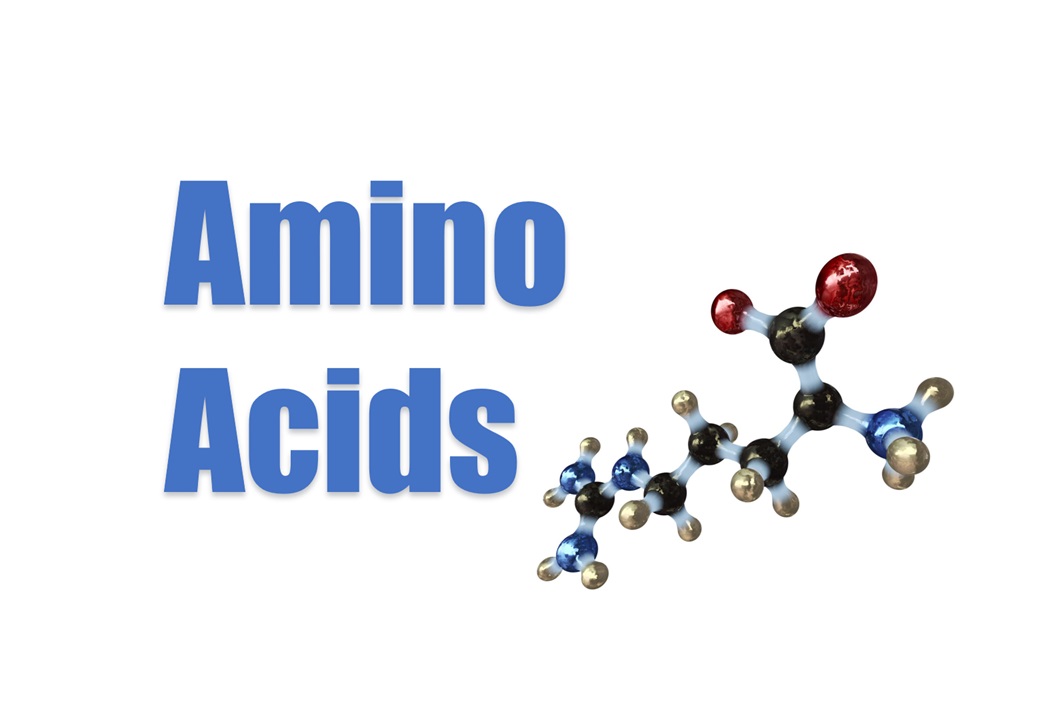 Amino Acids
