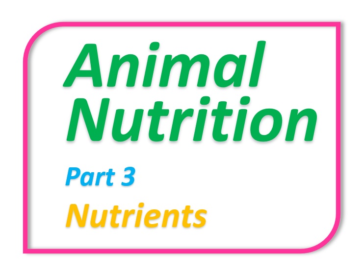 Animal Nutrition - Part 3 - Nutrients