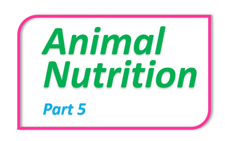 Animal Nutrition - Part 5 - Digestive System