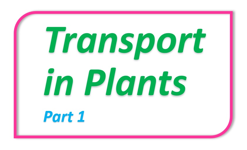Transport in Plants - Part 1