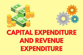 Capital and revenue expenditure