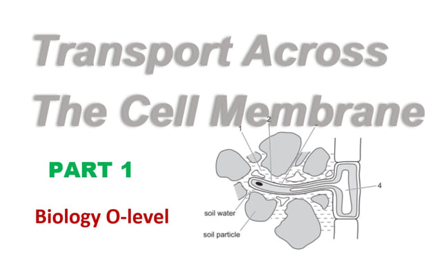 Transport Across the Cell Membrane - Part 1