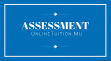  Assessment