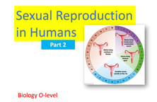 Sexual Reproduction in Humans - Part 2